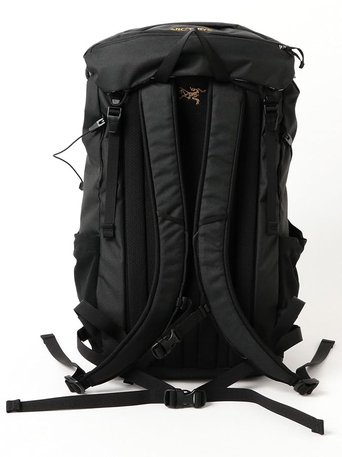 国内正規品 BEAMS ARCTERYX mantis 30 Amazon | [ビームス] キャンパス・バッグ ARC'TERYX Mantis 30